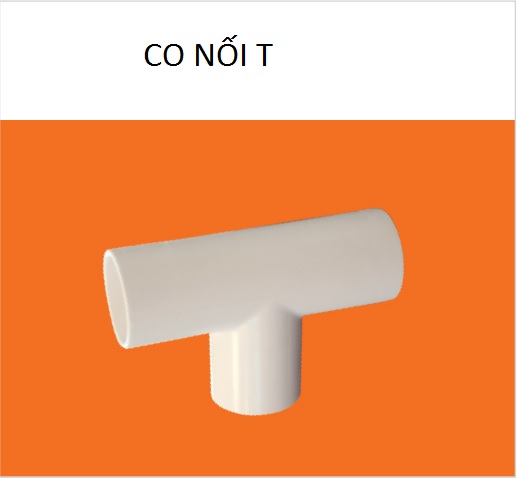 co chu t
